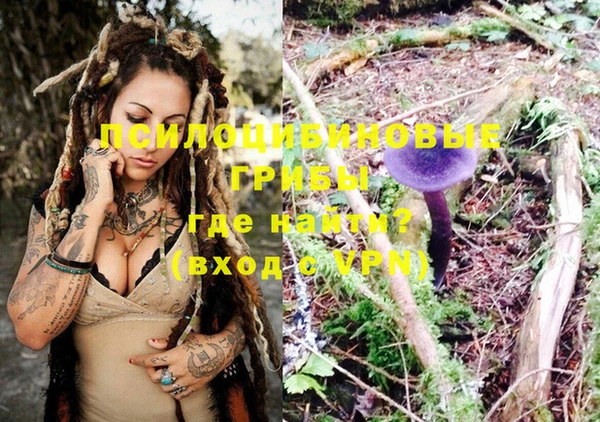 метадон Михайлов
