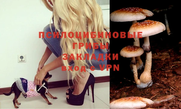 наркотики Михайловка