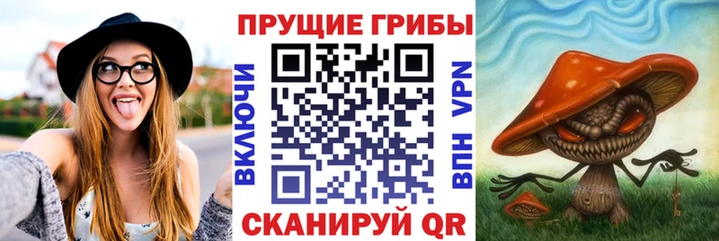 Псилоцибиновые грибы Psilocybe  kraken рабочий сайт  Нижний Ломов  дарнет шоп 
